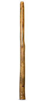 Tristan O'Meara Didgeridoo (TM259)